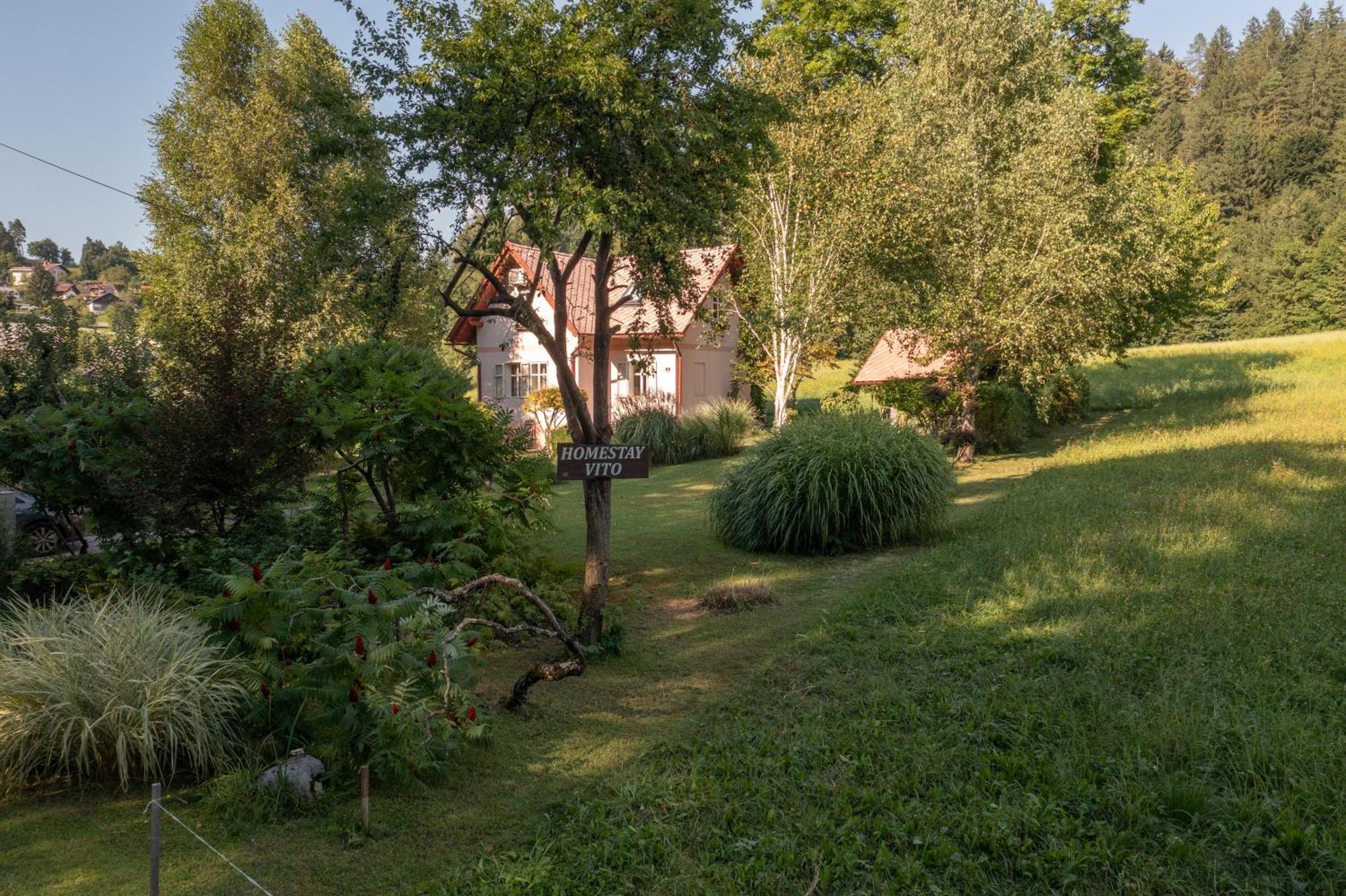 Homestay Vito By Lake Bled Exterior photo